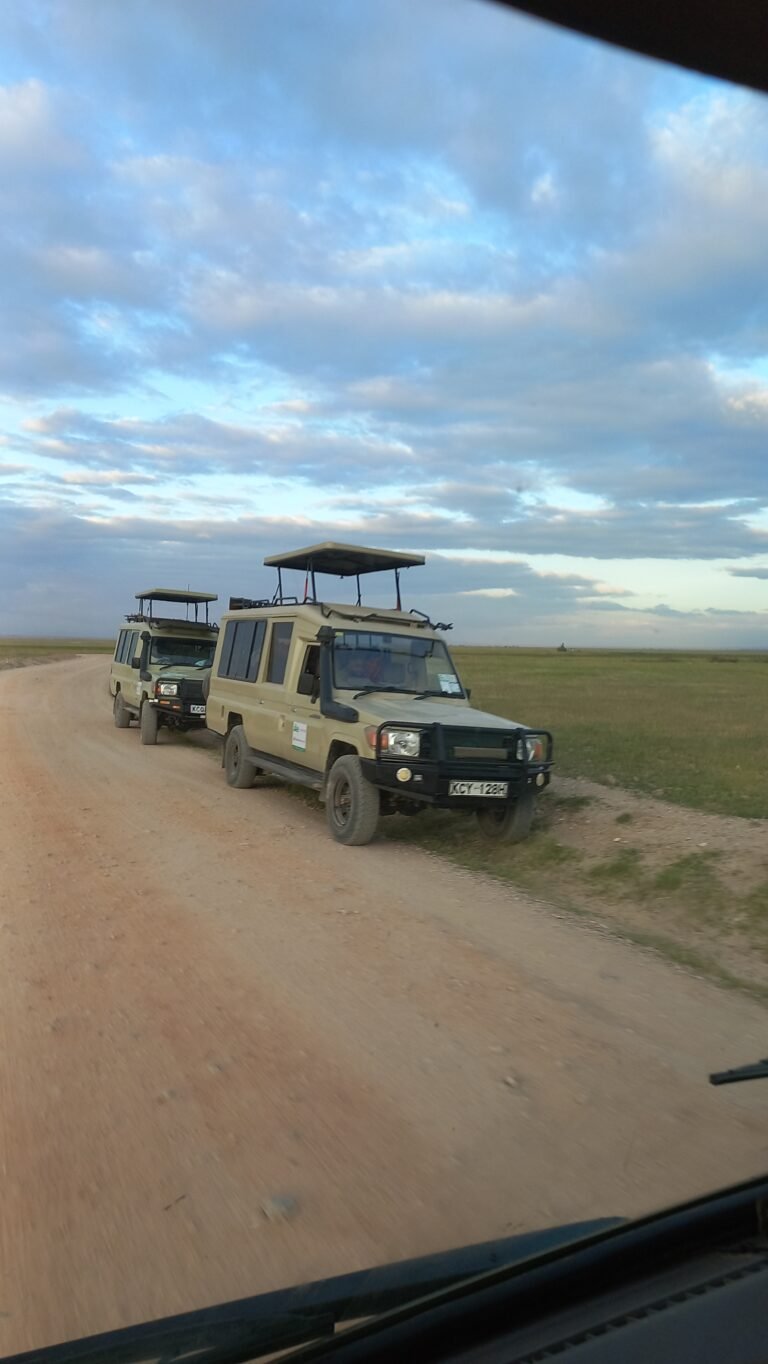 Home Amboseli National Park Safari