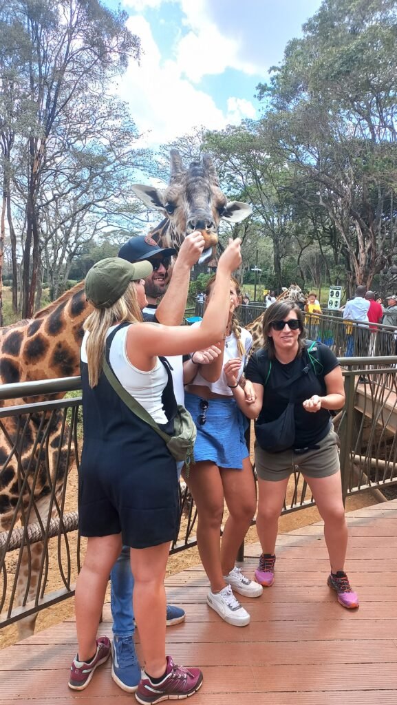 Best Time to Visit Kenya for Safari in 2026 – Complete Travel Guide 20230815 140211
