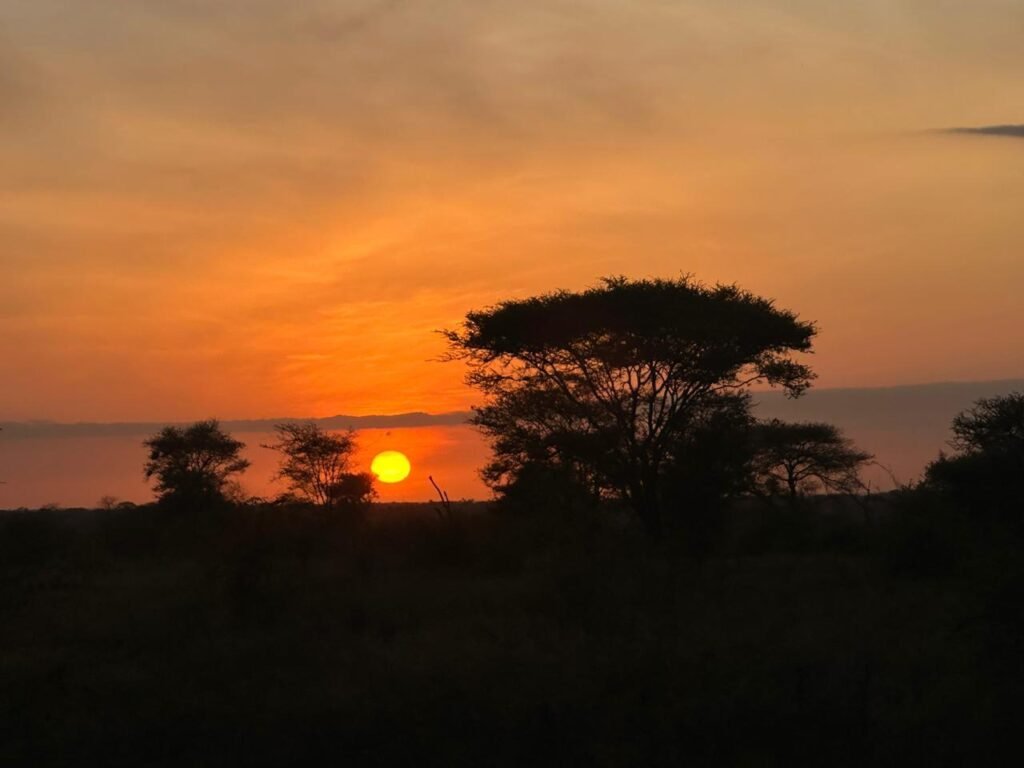 Maasai Mara Sunset