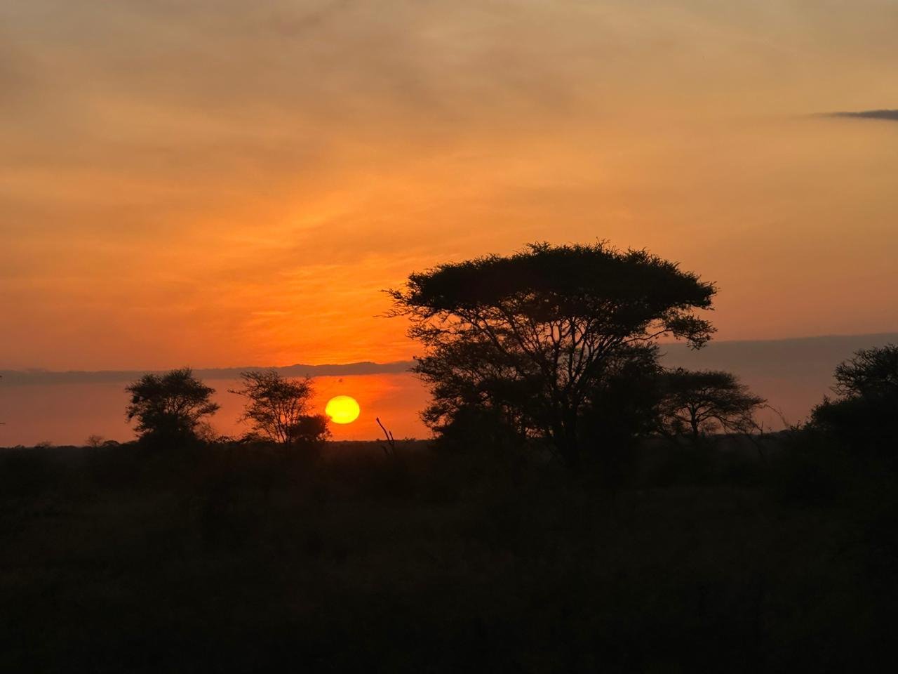 Maasai Mara Sunset