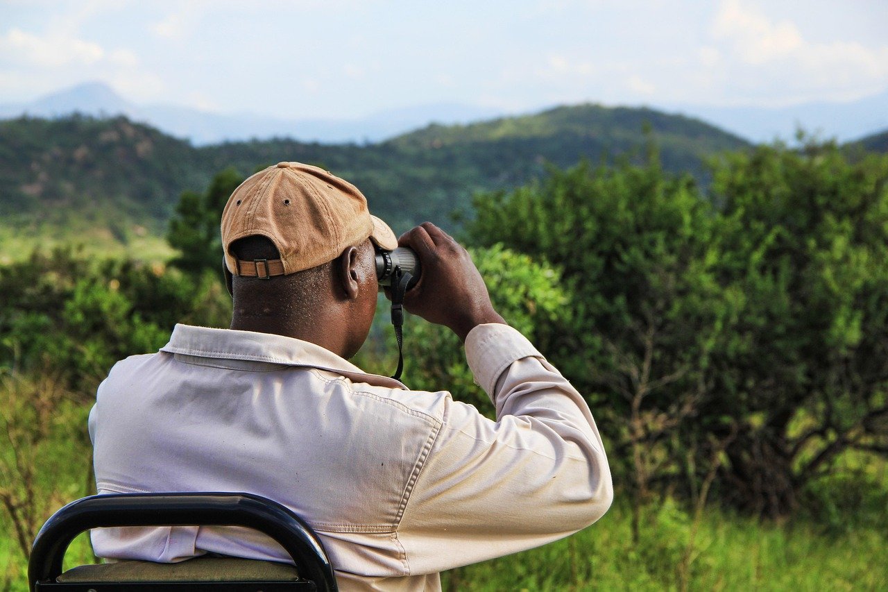 About stalk, africa, binoculars, bush, safari, man, jeep, exploration, lurk, binoculars, binoculars, binoculars, binoculars, binoculars