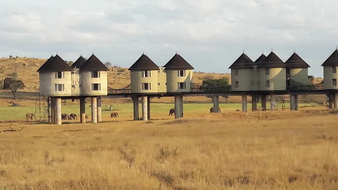 SALTLICK LODGE