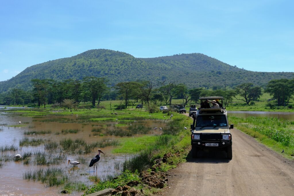 5 Days Kenya Safari: Tsavo East, Amboseli, Tsavo West & Taita Hills Explore the stunning landscapes and wildlife of Nakuru, Kenya with safari vehicles. Discover African beauty.