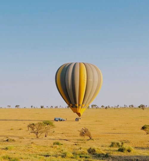 A vibrant hot air balloon flies over the vast Serengeti plains in Tanzania with a clear blue sky.